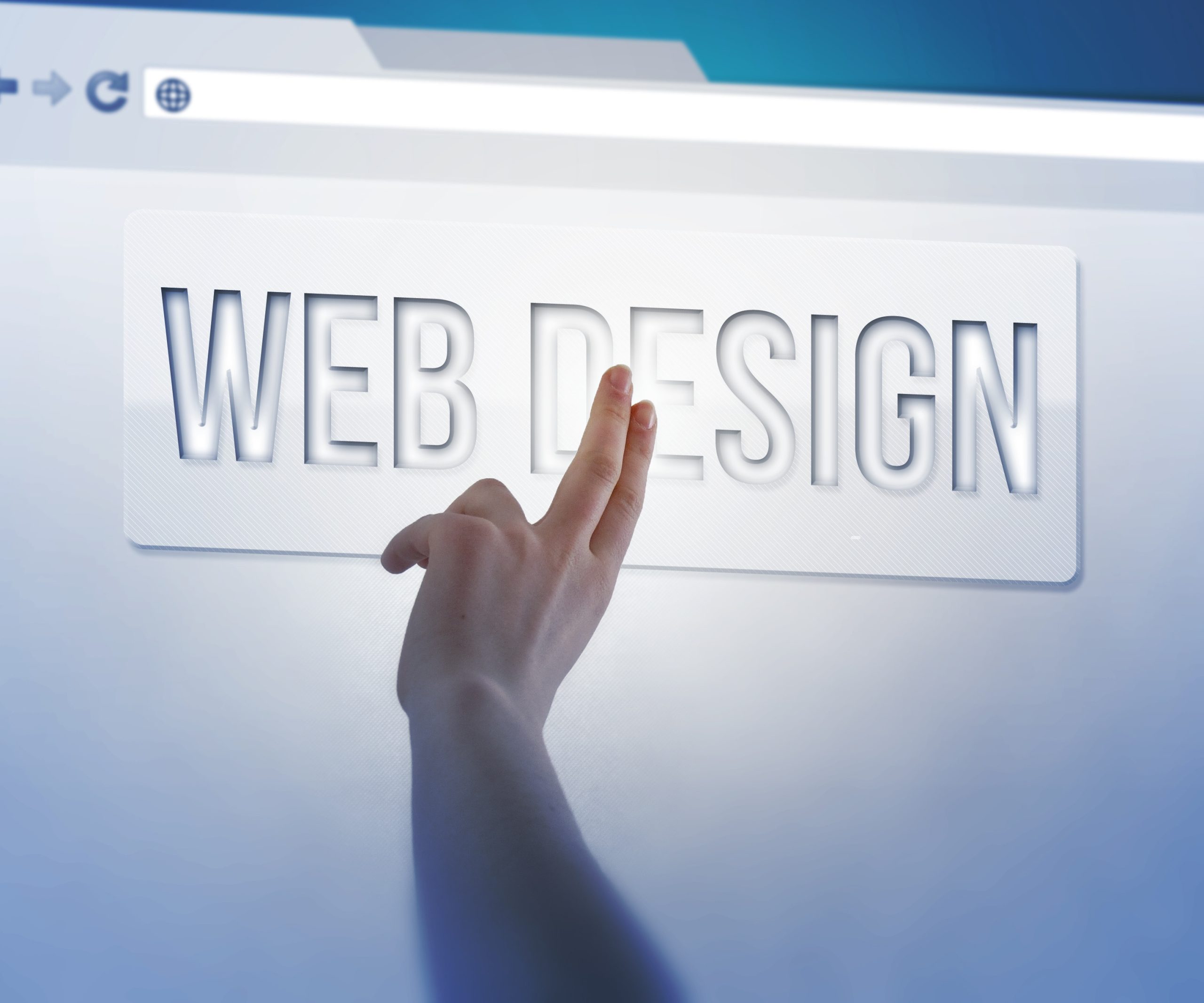 albany web design